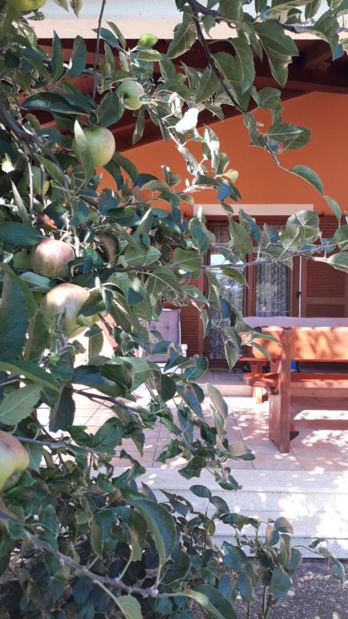 Apartman Lena Ουμάγκ Εξωτερικό φωτογραφία